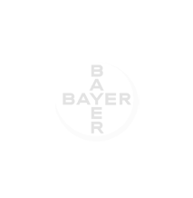 bayer-v2